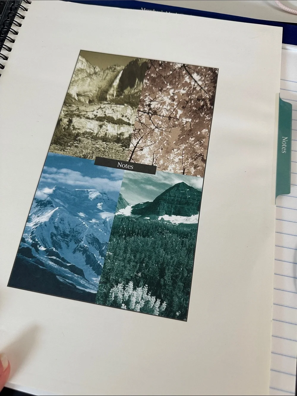 Unbranded Portfolio